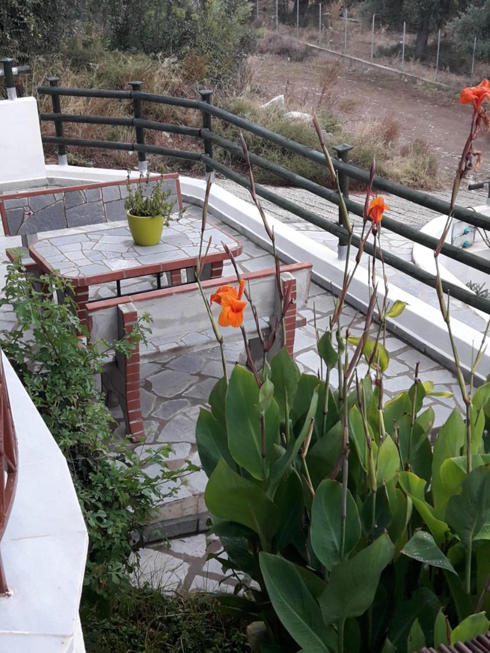 Villa Oliva Astris Bagian luar foto