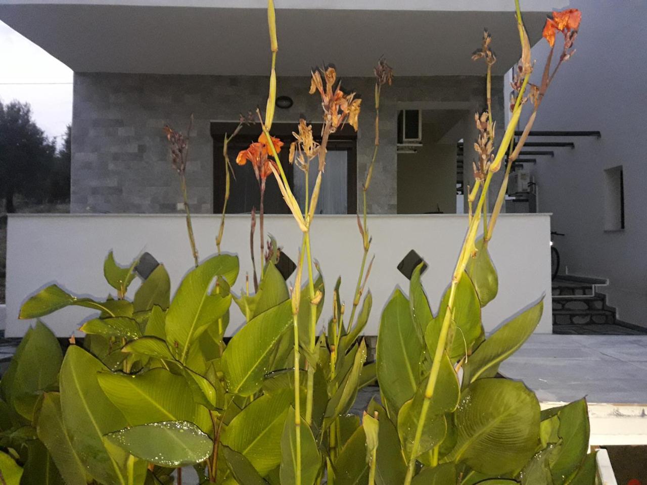 Villa Oliva Astris Bagian luar foto